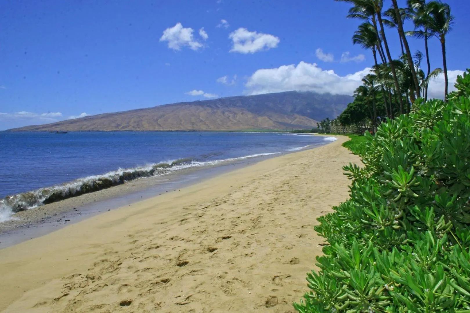 Kihei Beach, #109 Condo United States